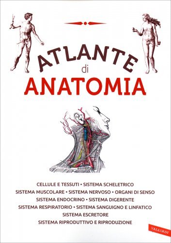LIBRO ATLANTE DI ANATOMIA - VALLARDI