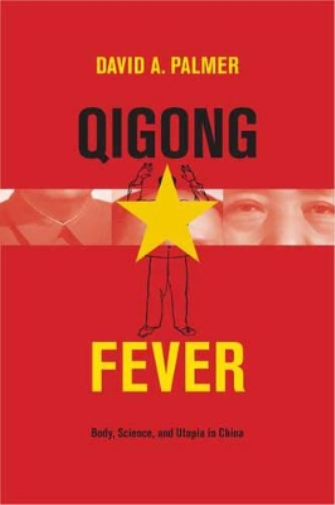 David Palmer Qigong Fever (Copertina rigida)