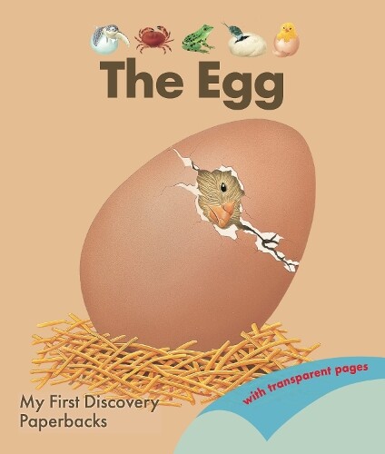 René Mettler The Egg (Tascabile) Animals & Plants