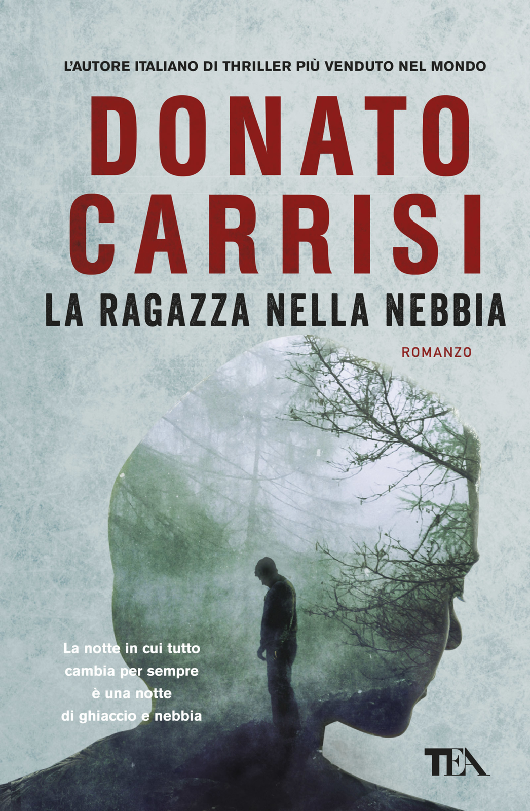 Libri Donato Carrisi - La Ragazza Nella Nebbia