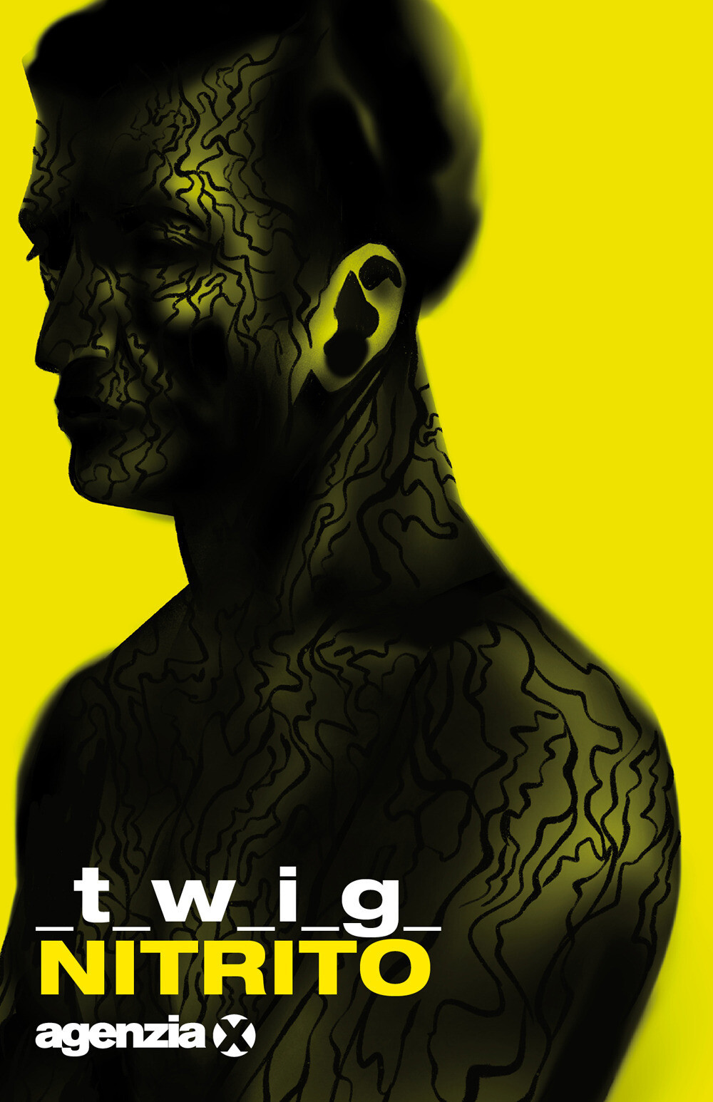 Libri Twig - Nitrito