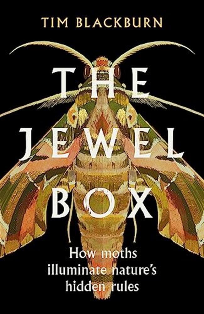 The Jewel Box: Deciphering Nature�s Hidden Rules - Blackburn Tim