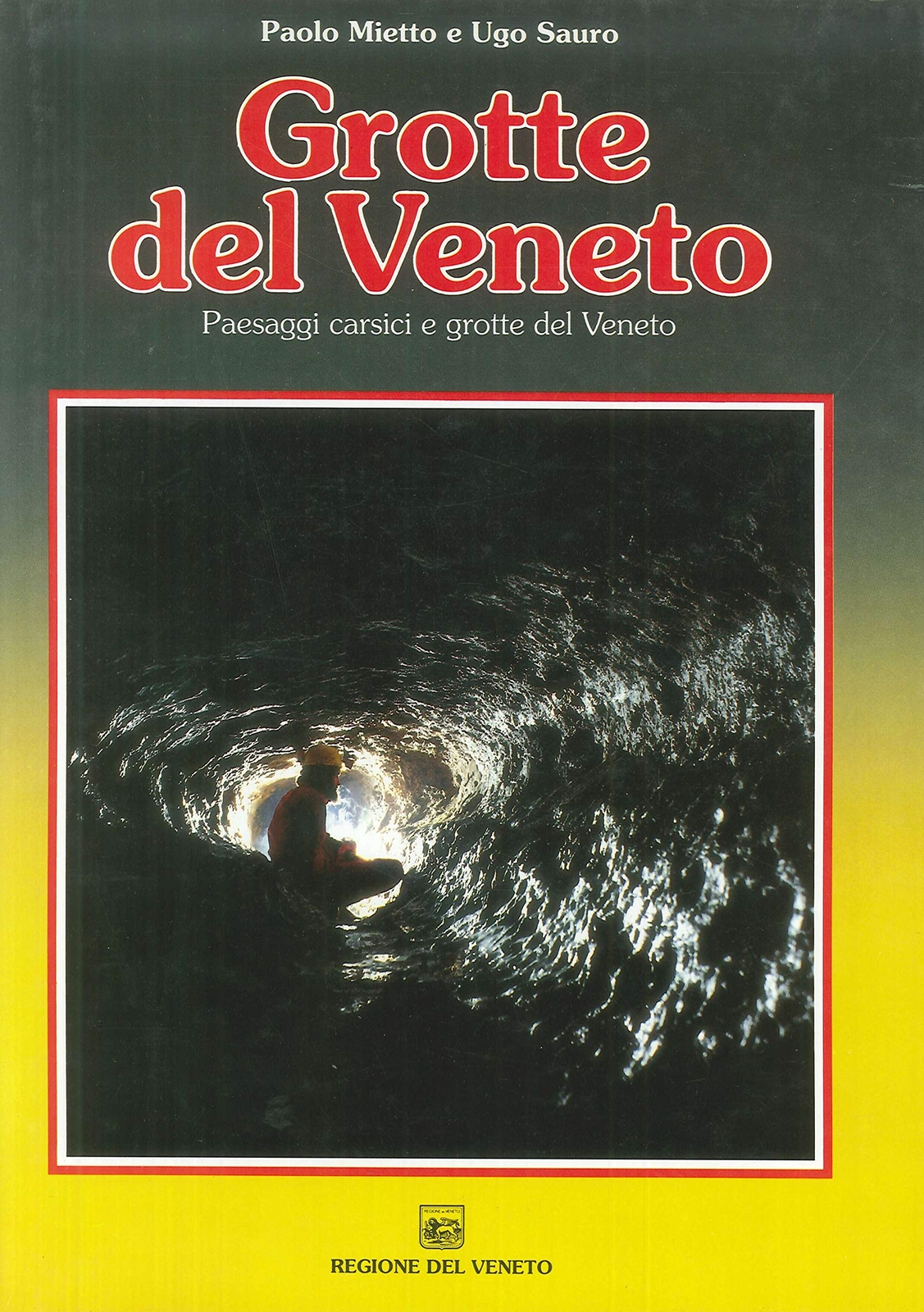 9788898513512 Grotte del veneto. Paesaggi carsici e grotte del Veneto - Paolo Mi