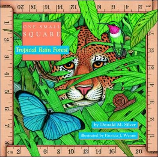 Donald Silver Tropical Rain Forest (Tascabile)