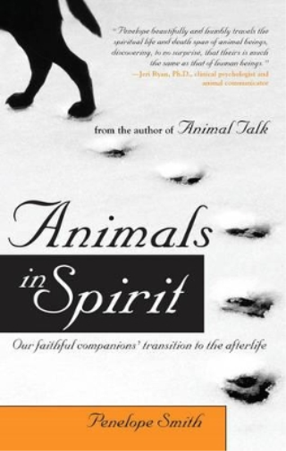 Penelope  Smith Animals in Spirit (Tascabile)