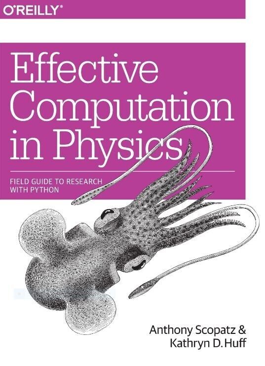 Effective Computation in Physics