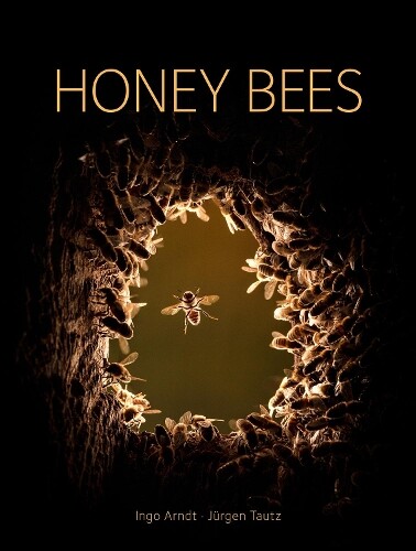Jurgen Tautz Honey Bees (Copertina rigida)