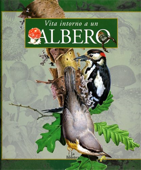 Cucchiarini,Ferruccio. - Vita intorno a un albero.