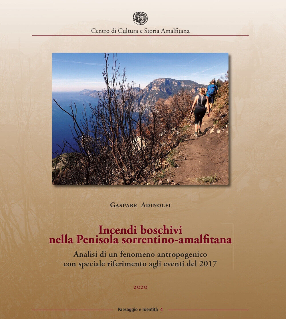 Incendi boschivi nella Penisola sorrentino-amalfitana. Analisi di un fenom...