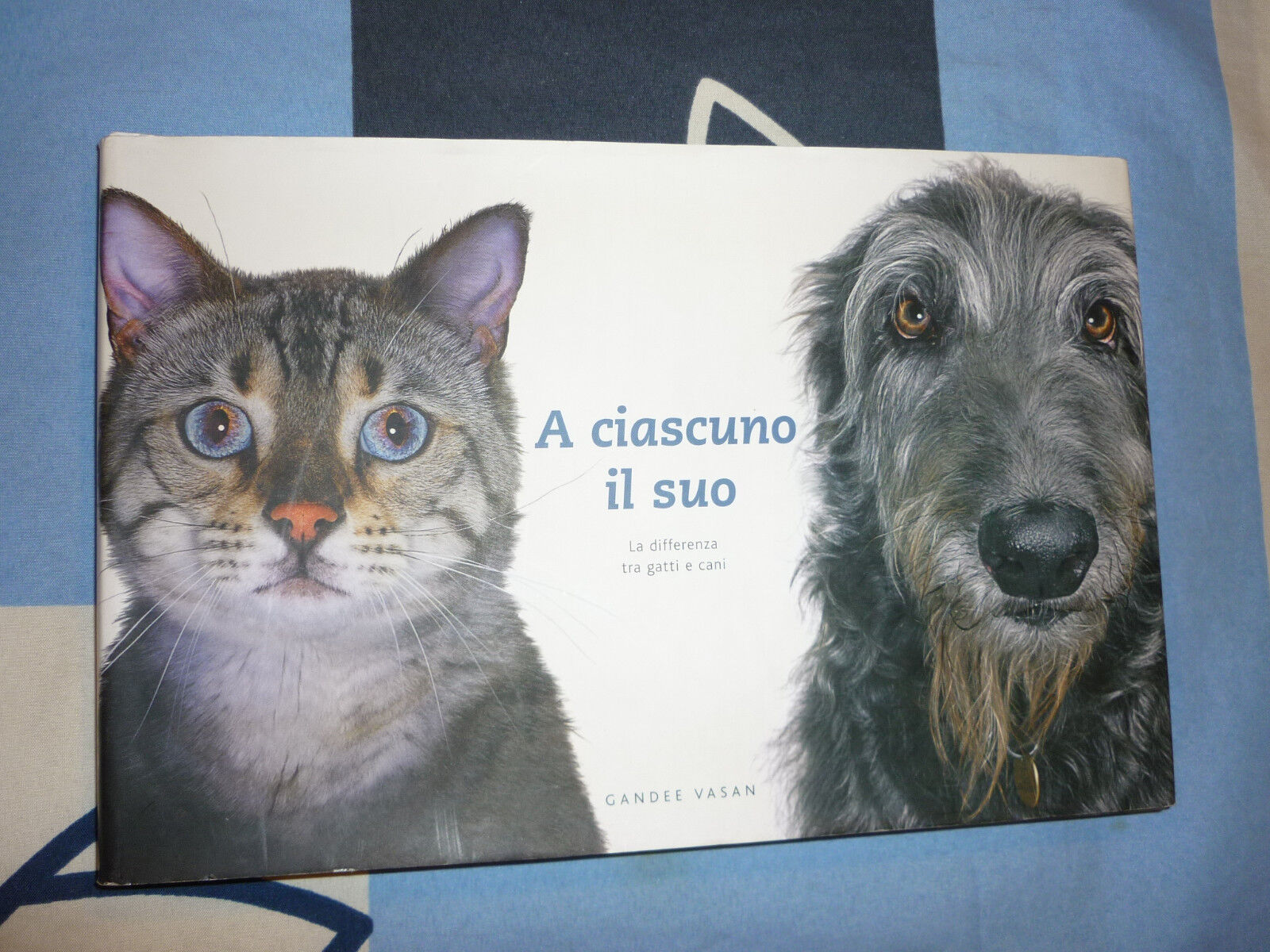 A CIASCUNO IL SUO GRANDEE VASAN Salani
