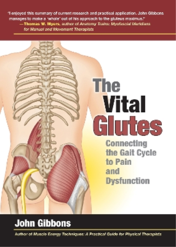 John Gibbons The Vital Glutes (Tascabile)