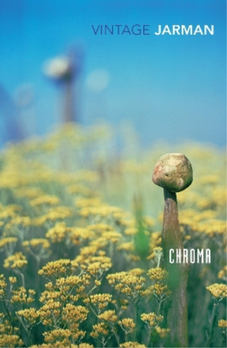 Derek Jarman Chroma (Tascabile)