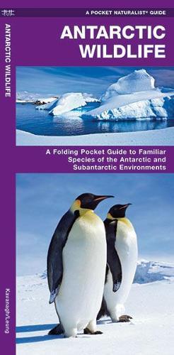 James Kavanagh Waterford Press Antarctic Wildlife (opuscolo)