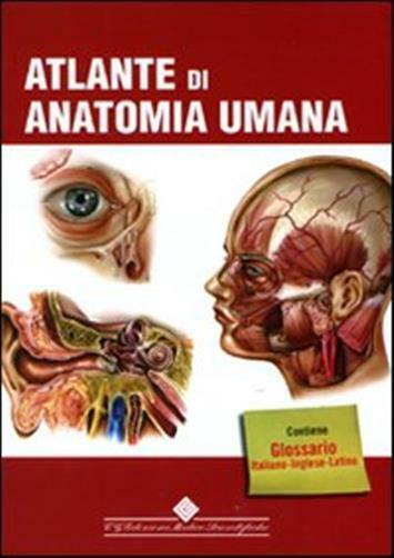 Atlante di anatomia umana - AA.VV.