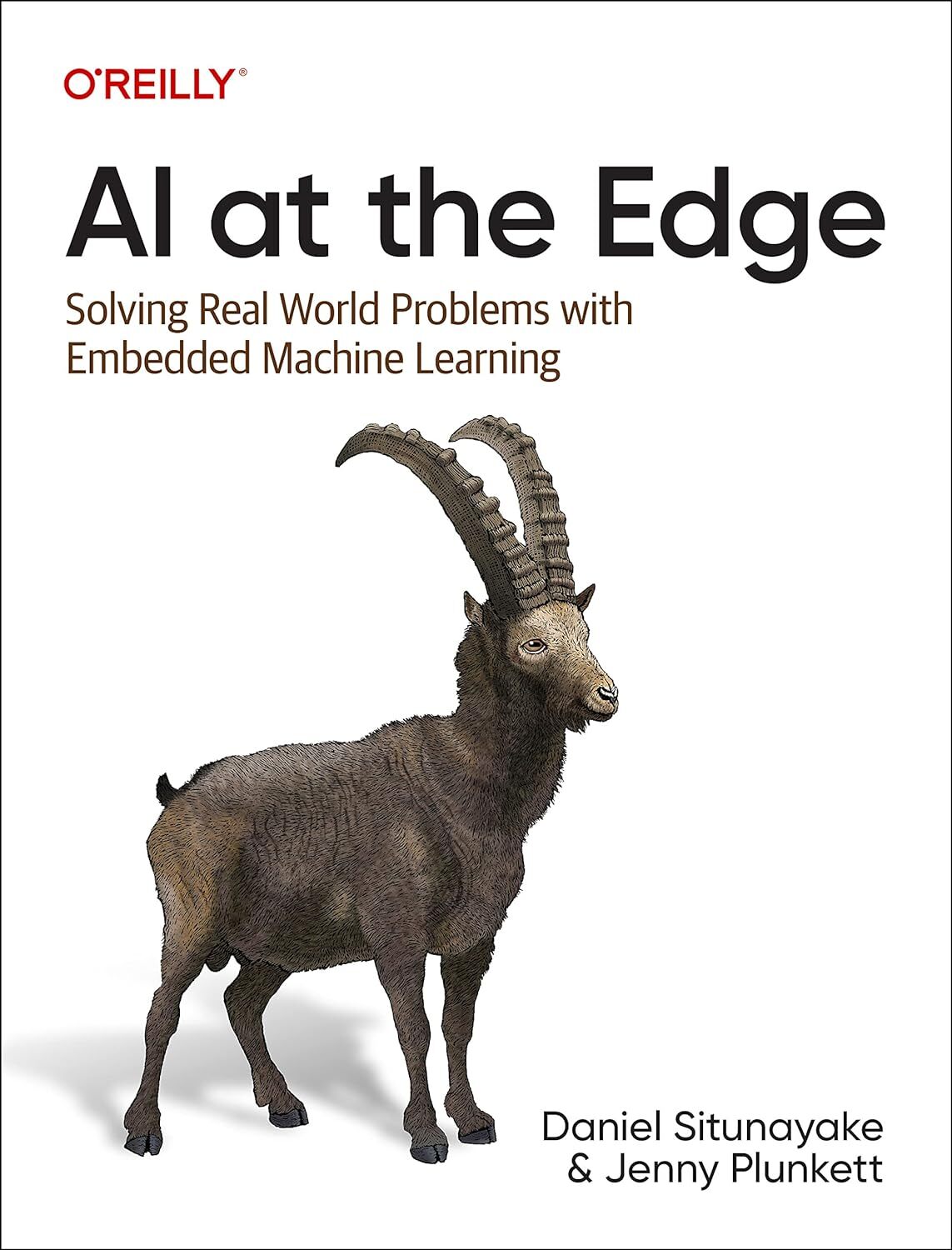 9781098120207 AI at the Edge: Solving Real-World Problems With E...hine Learning
