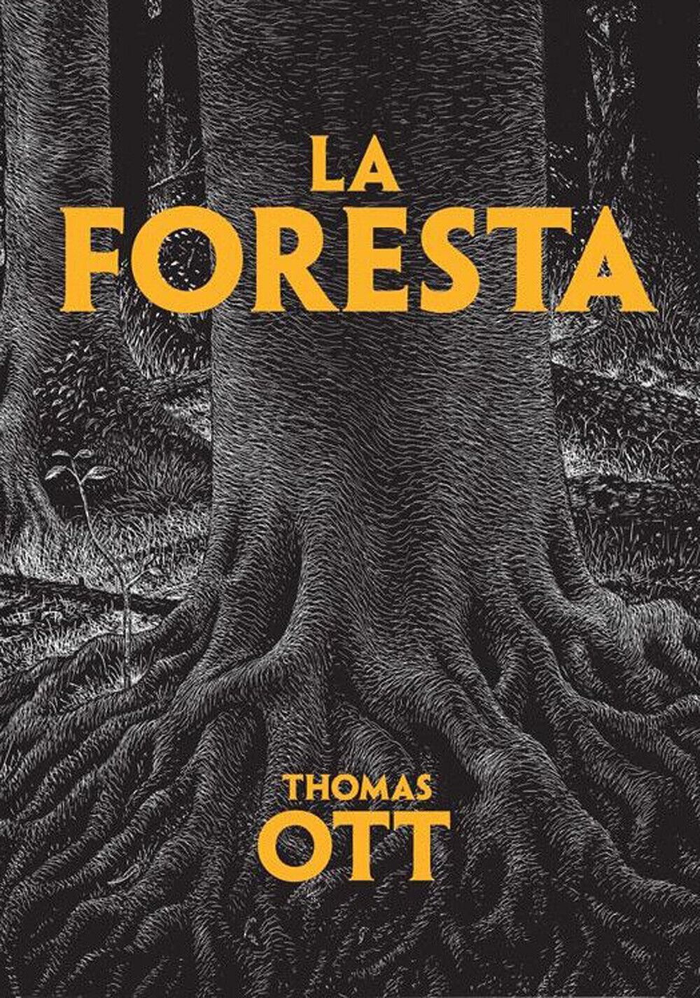 Libri Thomas Ott - La Foresta