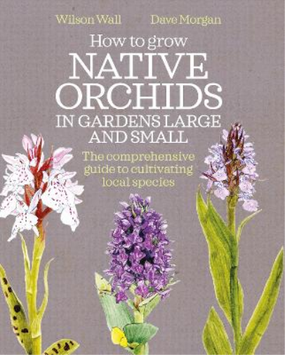 Wilson Wall Dav How to Grow Native Orchids in Gardens Large a (Copertina rigida)