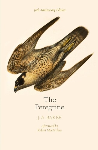 J. A. Baker The Peregrine: 50th Anniversary Edition (Tascabile)
