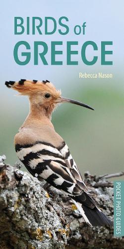 Rebecca Nason Birds of Greece (Tascabile) Pocket Photo Guides