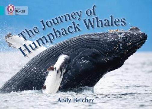 Andy Belcher The Journey of Humpback Whales (Tascabile) Collins Big Cat