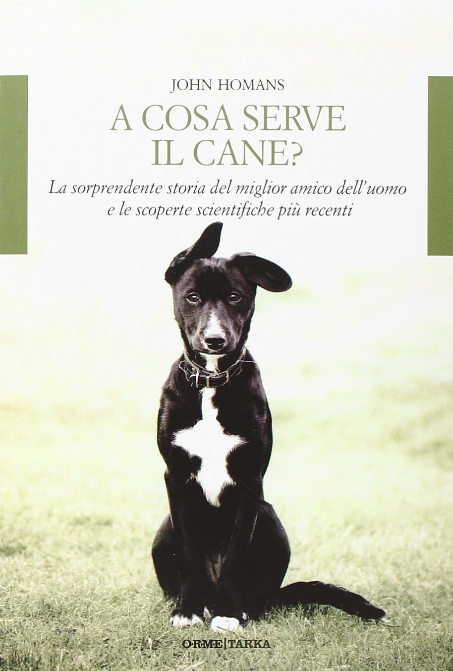 9788867100811 A cosa serve il cane? La sorprendente storia del m... più recenti