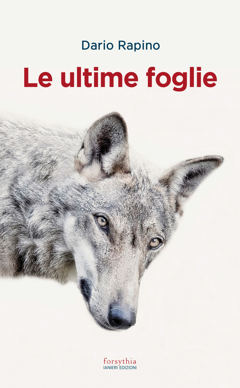 Libri Rapino Dario - Le Ultime Foglie
