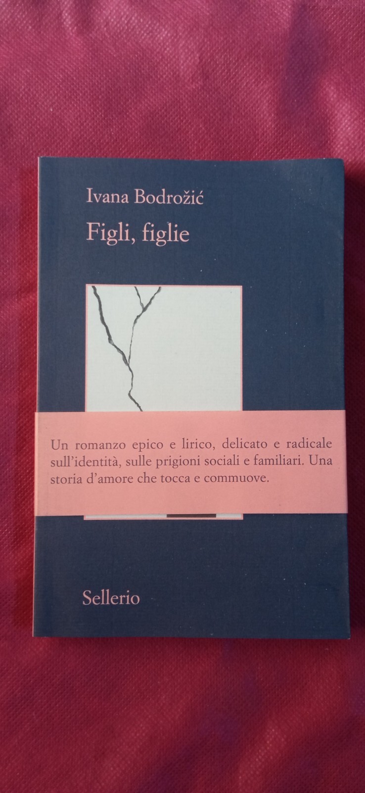 Ivana Bodrožić Figli, figlie Sellerio, 2023