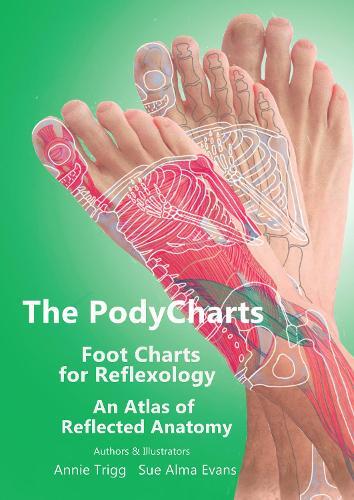 Sue Alma Evans Annie Trig The PodyCharts foot charts for reflexolog (Tascabile)