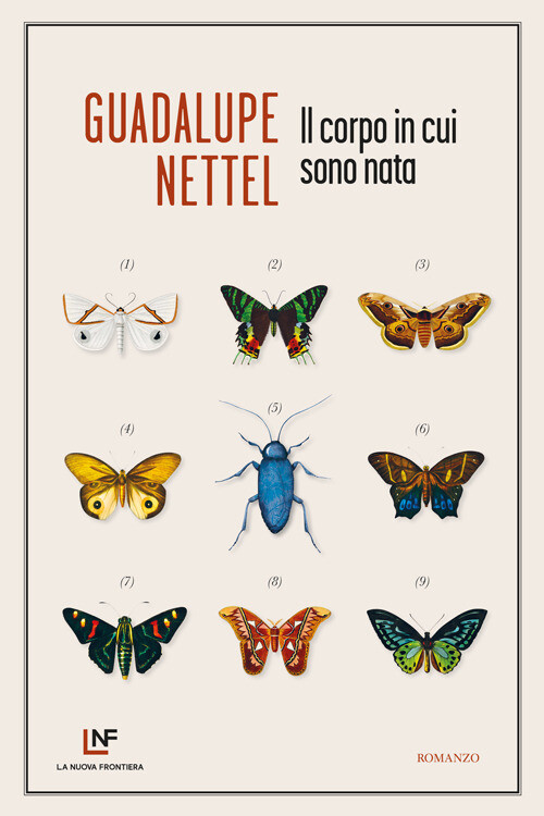 Libri Guadalupe Nettel - Il Corpo In Cui Sono Nata