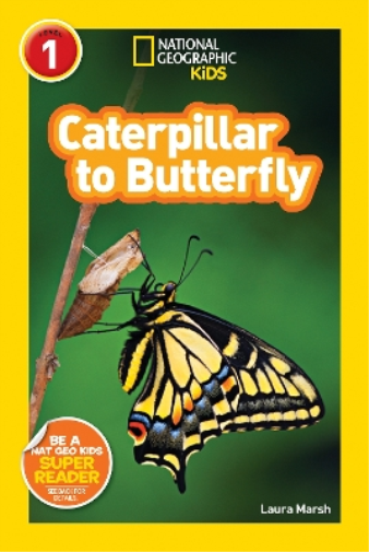 Laura Marsh National Geographic Kids Readers: Caterpillar to Butterf (Tascabile)