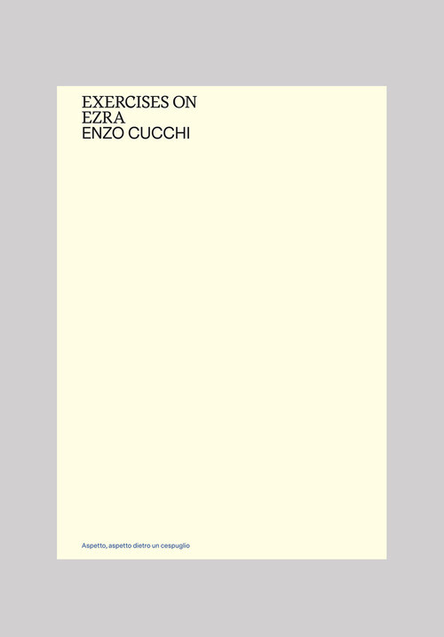 EXERCISES ON EZRA. EDIZ. ITALIANA E INGLESE CUCCHI ENZO, CUCCHI A. (CUR.),