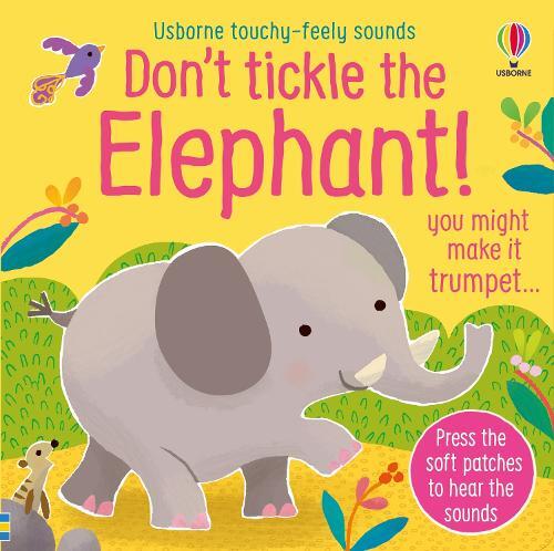 Sam Taplin Don't Tickle the Elephant! (Libro di cartone)
