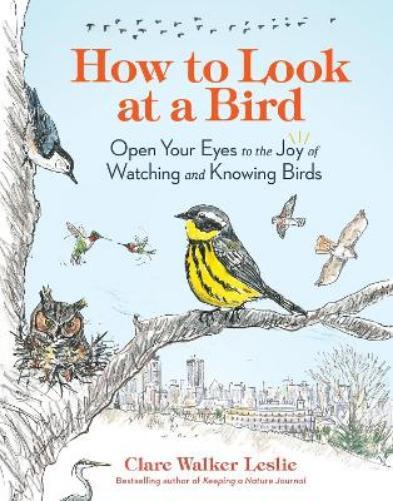 Clare Walker Leslie How to Look at a Bird (Tascabile)