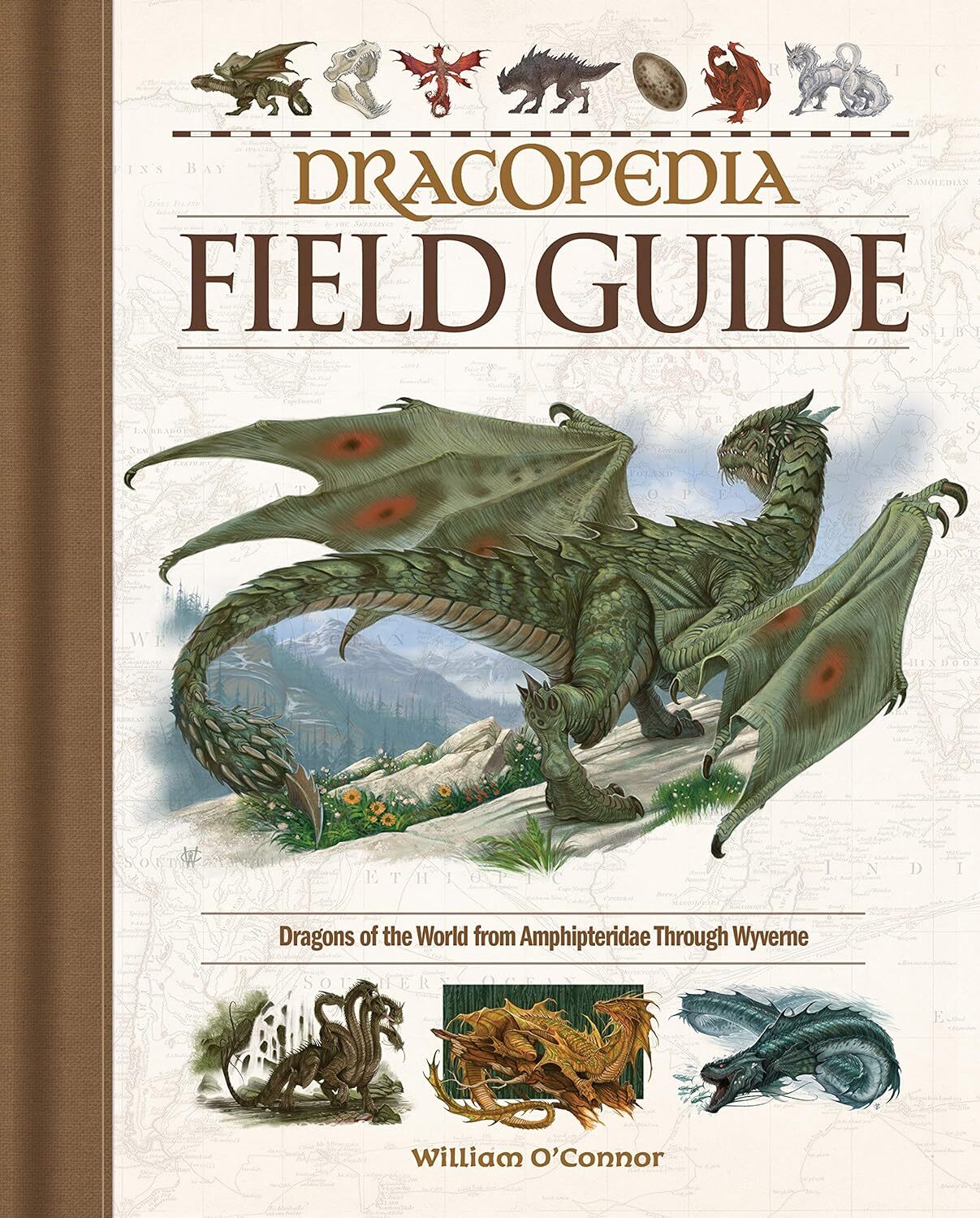 9781440353840 Dracopedia Field Guide: Dragons of the World from ...ough Wyvernae