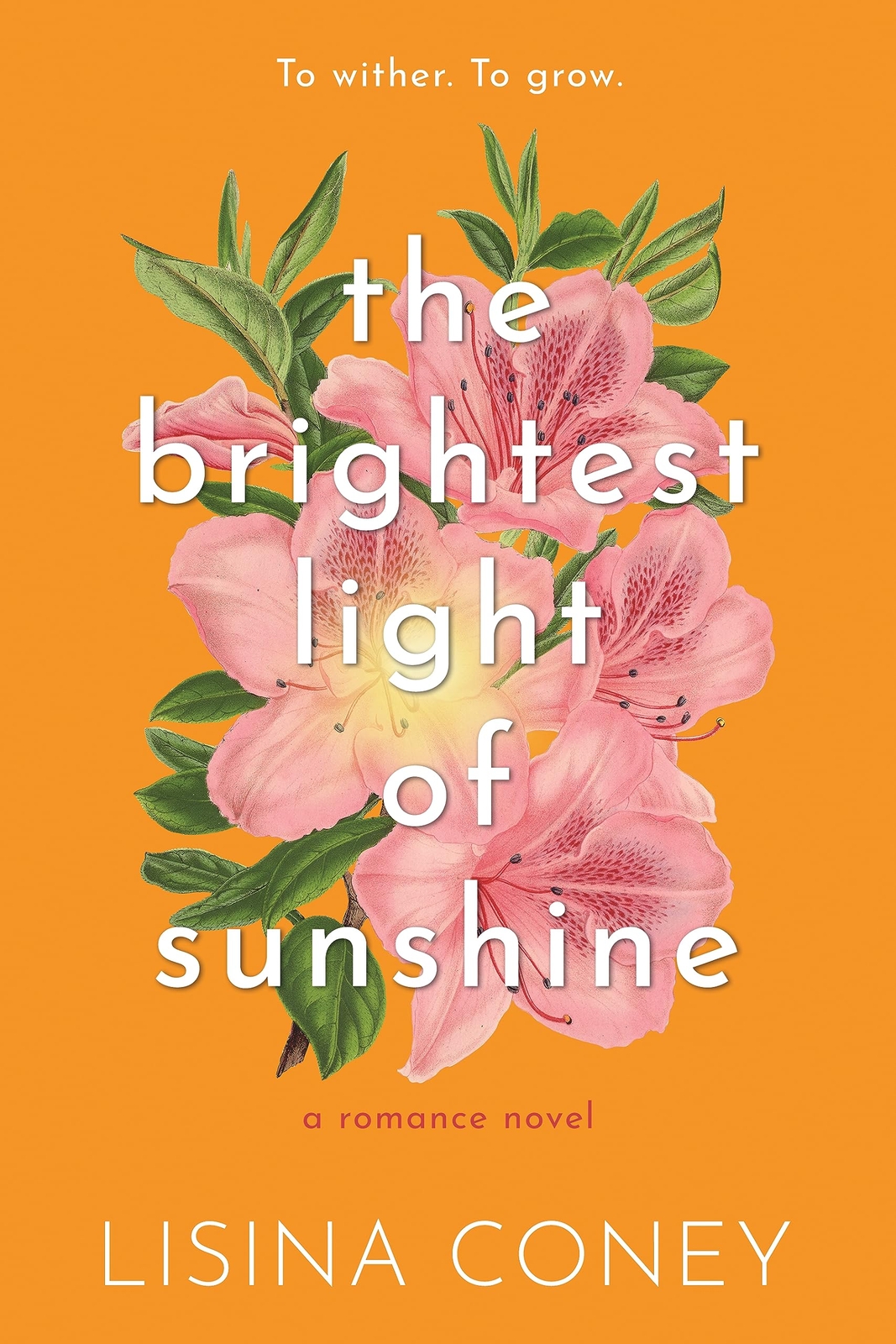 Lisina Coney Brightest Light of Sunshine (Tascabile) Brightest Light