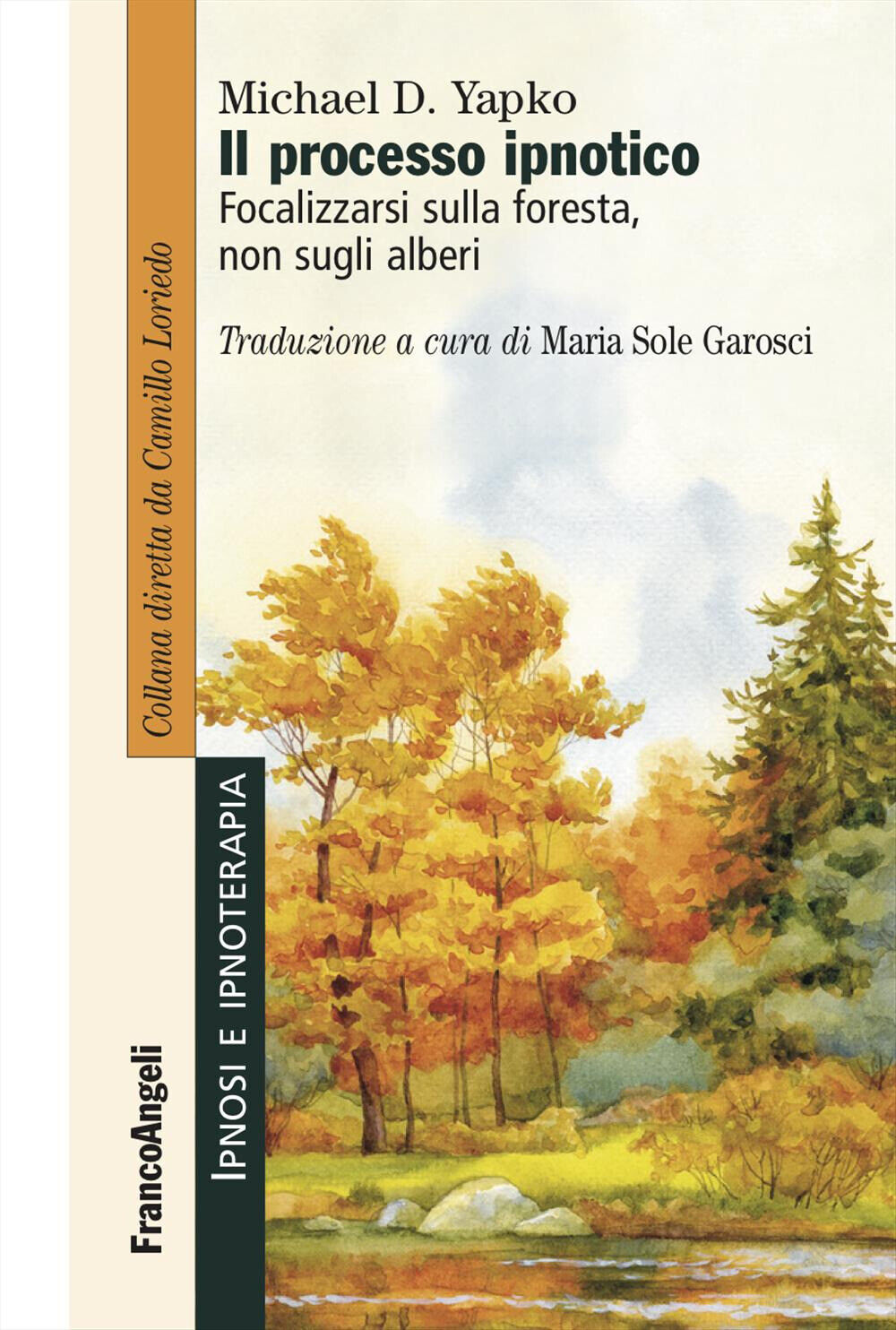 Il processo ipnotico. Focalizzarsi sulla foresta, non sugli alberi - Yapko...