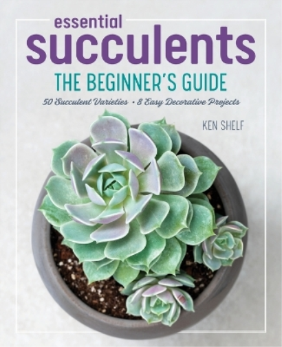 Ken Shelf Rachel Weill Essential Succulents (Tascabile)