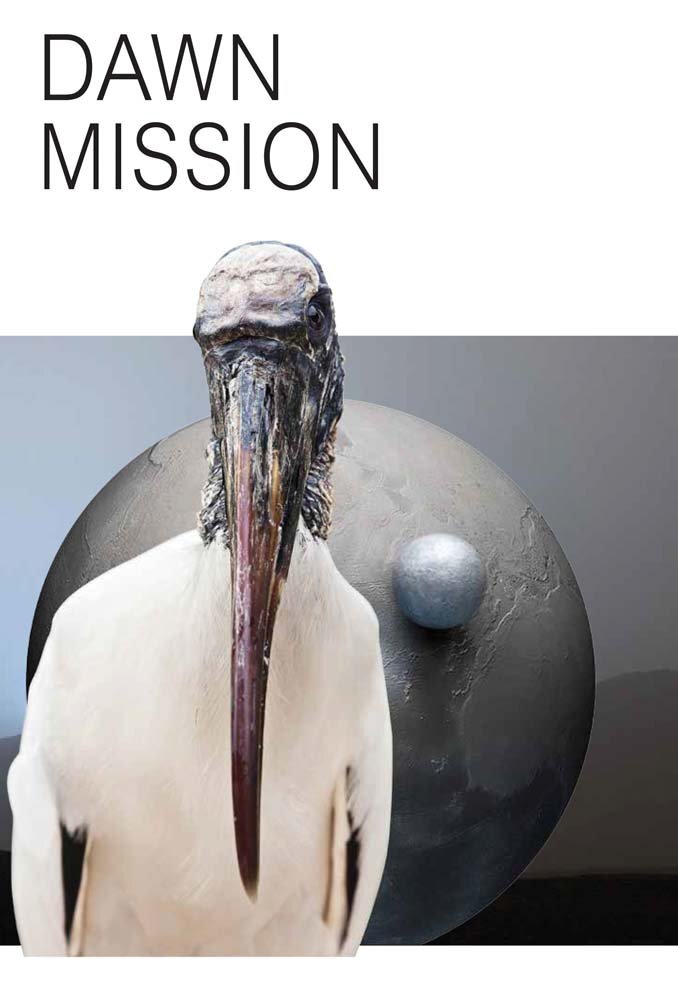 9788867492282 Katja Novitskova. Dawn mission. Ediz. inglese e tedesca - Bettina