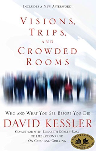 David Kessler Visions, Trips And Crowded Rooms (Tascabile)