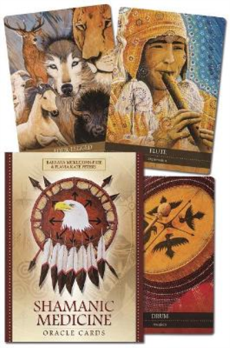 Yuri Leitch Flavia Kate Peters Barbara Meikl Shamanic Medicine Or (Merchandise)