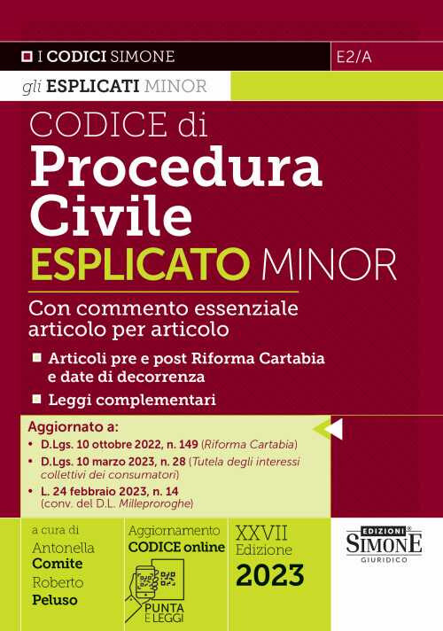 E2/A CODICE PROC CIVILE ESPLICATO MINORM COMITE PELUSO