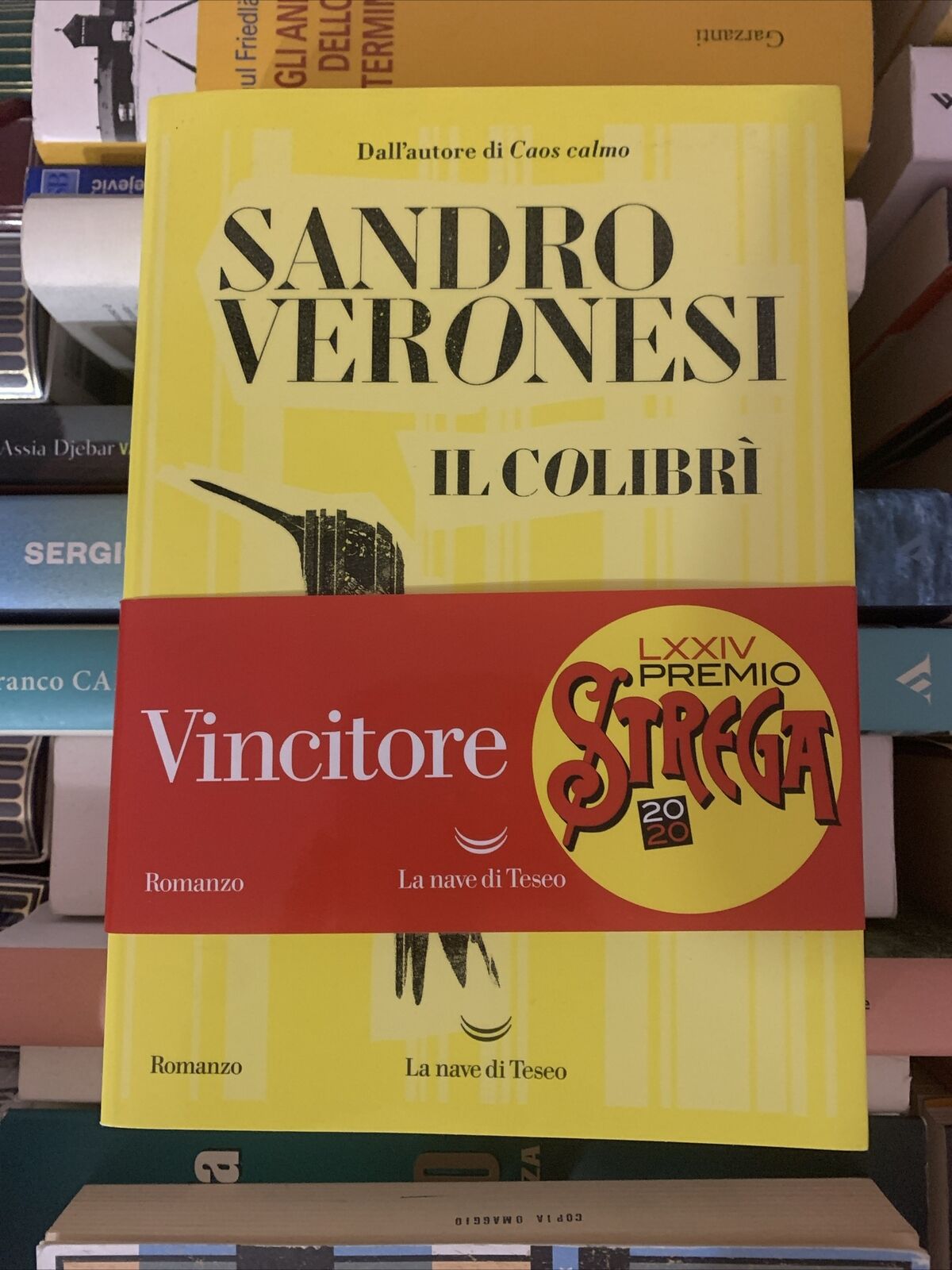 IL COLIBRI'  - VERONESI SANDRO - La nave di Teseo
