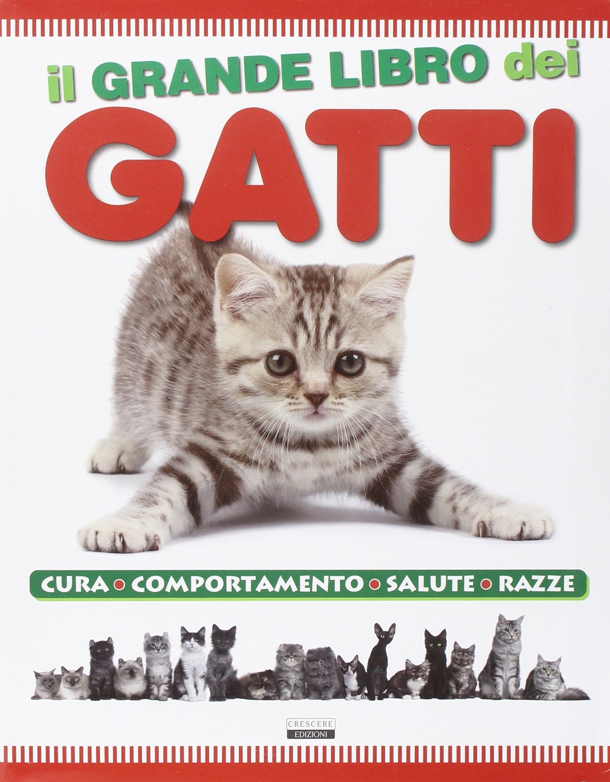 Il grande libro dei gatti [Paperback] Aa. Vv.