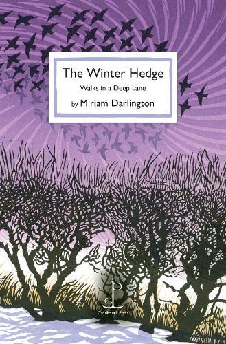 Miriam Darlington The Winter Hedge (Tascabile)