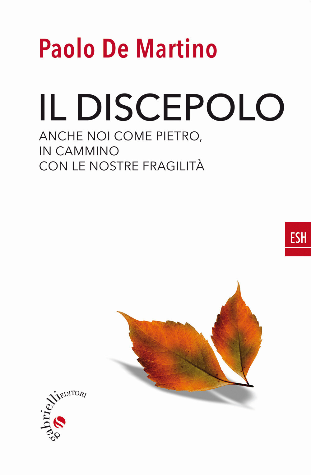 Libri De Martino Paolo - Il Discepolo. Anche Noi Come Pietro, In Cammino Con Le