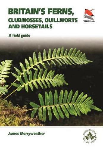 James Merryweather Ferns (Tascabile) WILDGuides of Britain & Europe