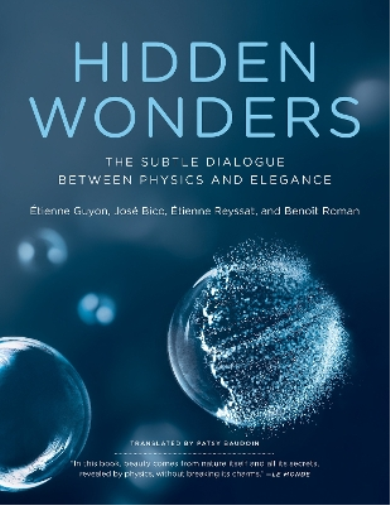 Etienne Guyon Jose Bico Hidden Wonders (Tascabile)