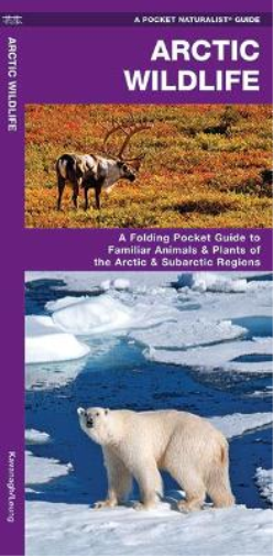 James Kavanagh Waterford Press Arctic Wildlife (opuscolo)