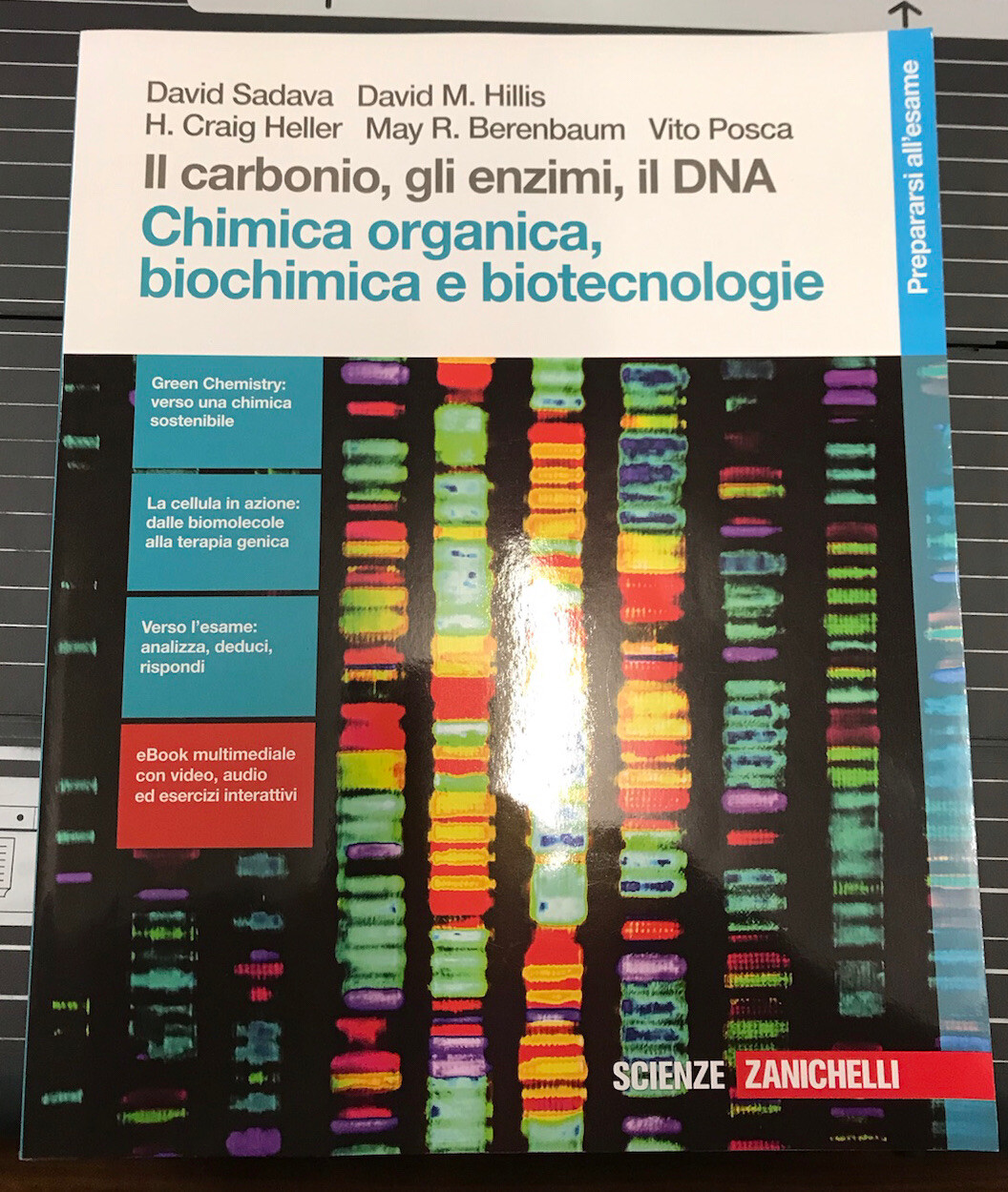 Chimica Organica Biochimica e Biotecnologie