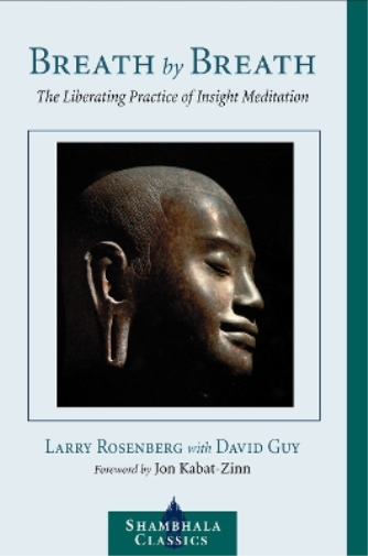 Larry Rosenberg Breath by Breath (Tascabile)